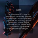Sauvage Elixir Dior - Image 4