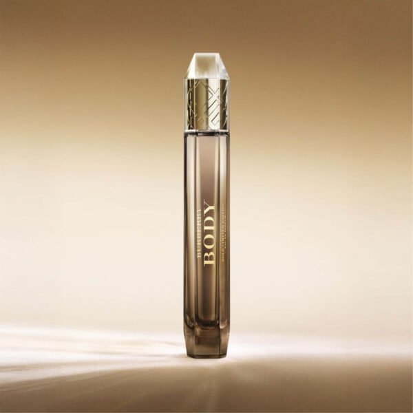 Body Burberry